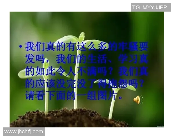 黄强的乒乓球人生深度对话探索运动背后的坚持与梦想
